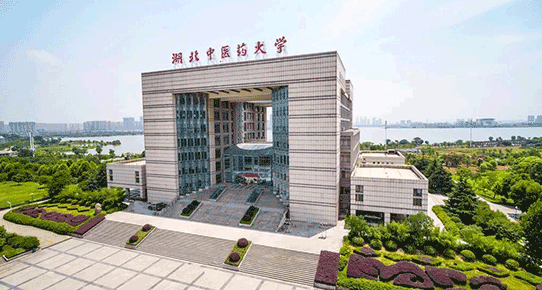 湖北中医药大学.png