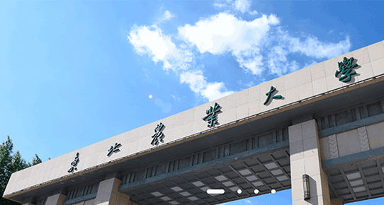 东北农业大学.png